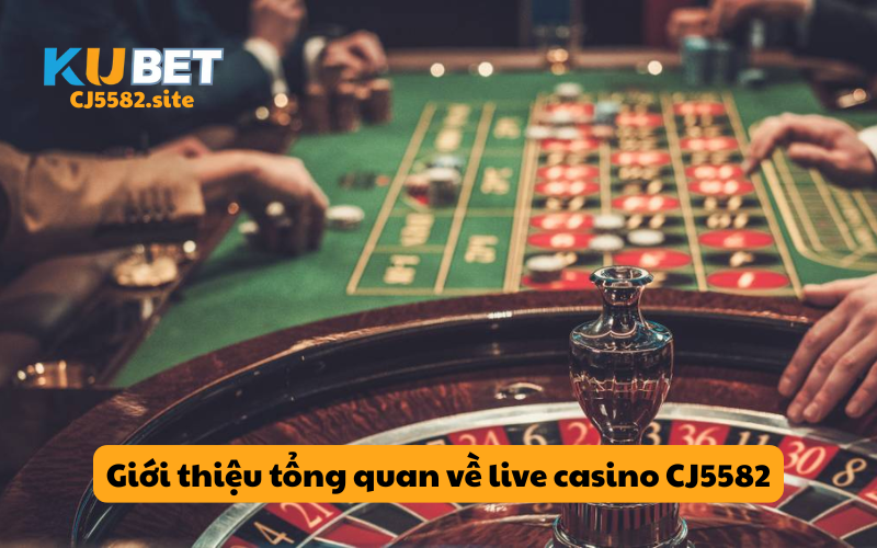 Giới thiệu tổng quan về live casino KUBET 2026
